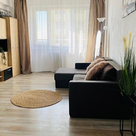City Center Apartments - Piata Unirii ヤシ エクステリア 写真